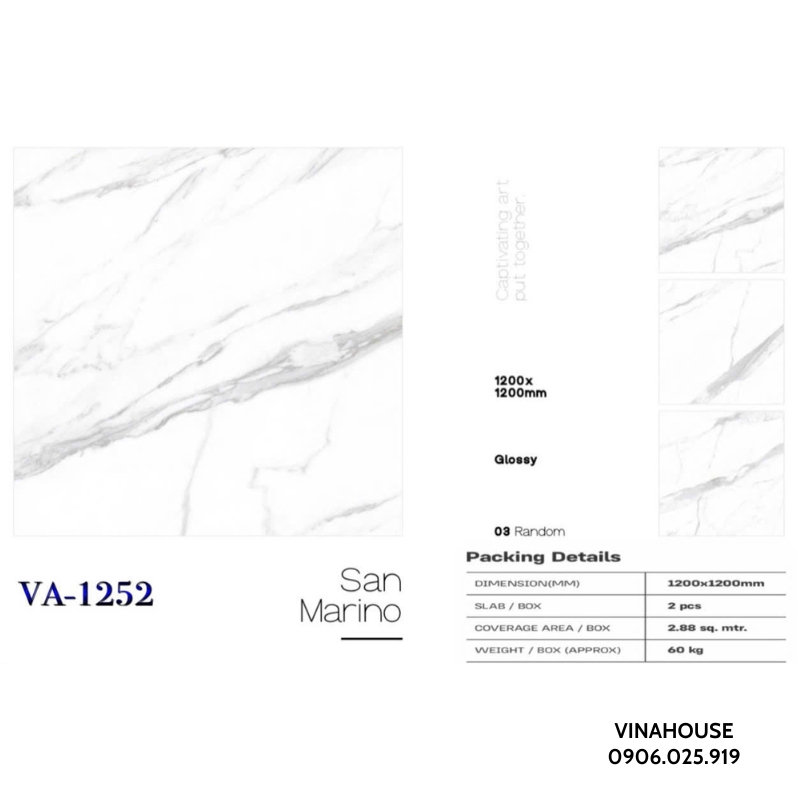 Gạch lát nền 1m2x1m2 VA1252
