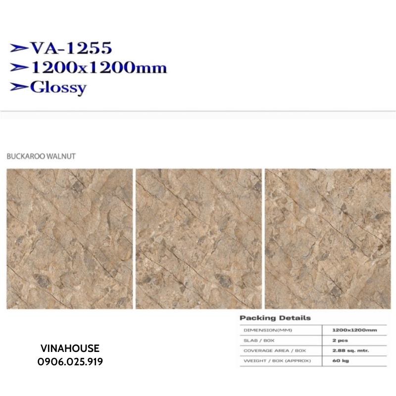 Gạch lát nền 1m2x1m2 VA1255