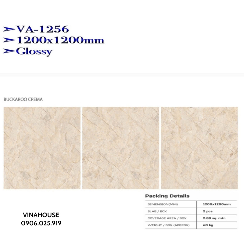 Gạch lát nền 1m2x1m2 VA1256