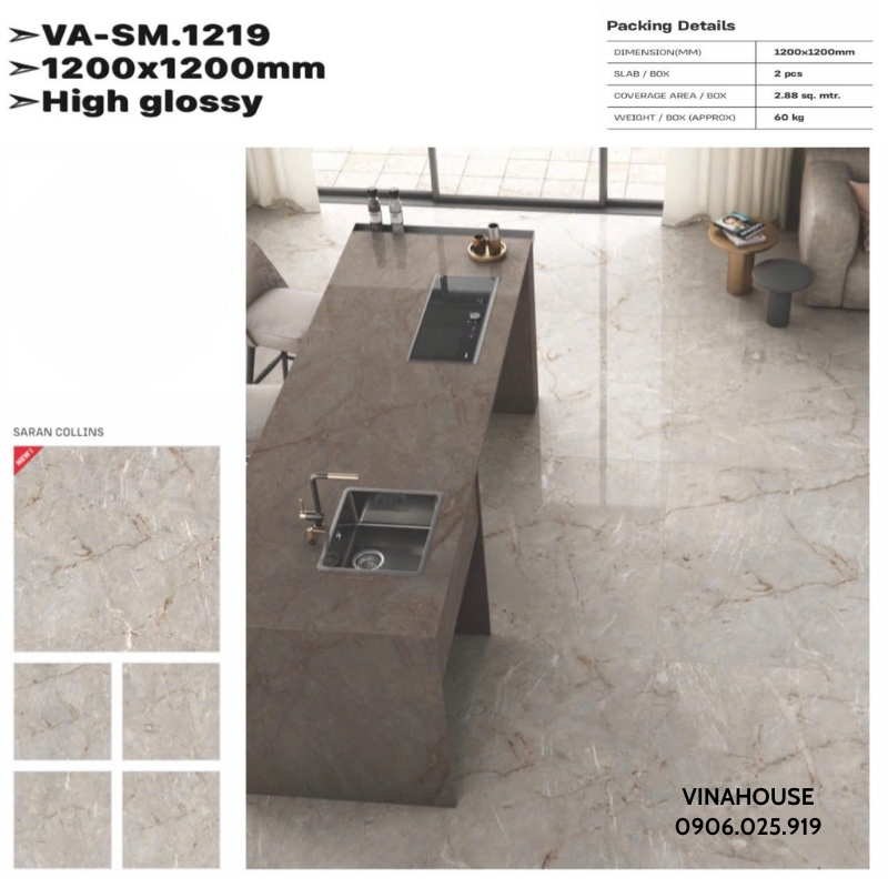Gạch lát nền 1m2x1m2 VASM1219