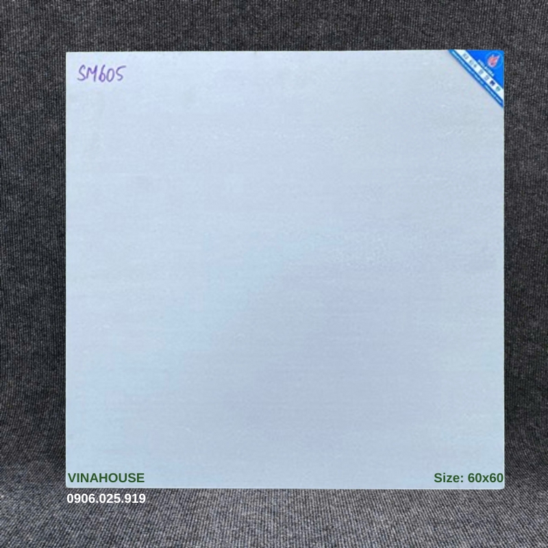 Gạch Viglacera 60×60 mờ SM605