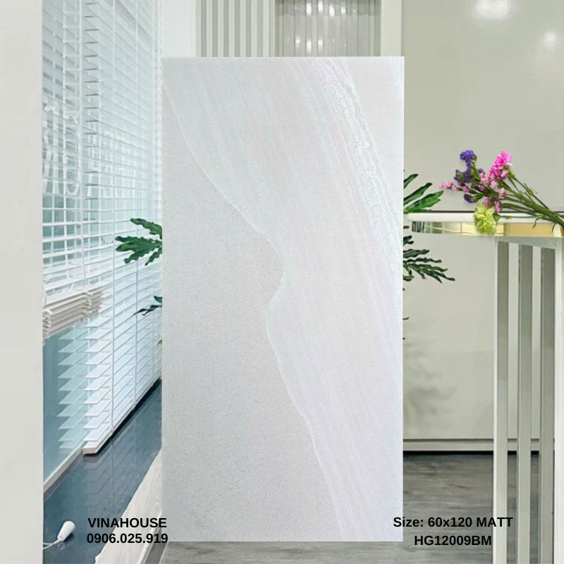 Gạch Lát Nền 60×120 mờ 12009