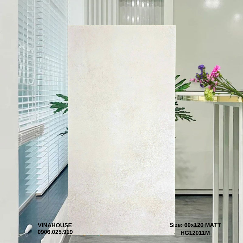 Gạch 60×120 lát nền 12011