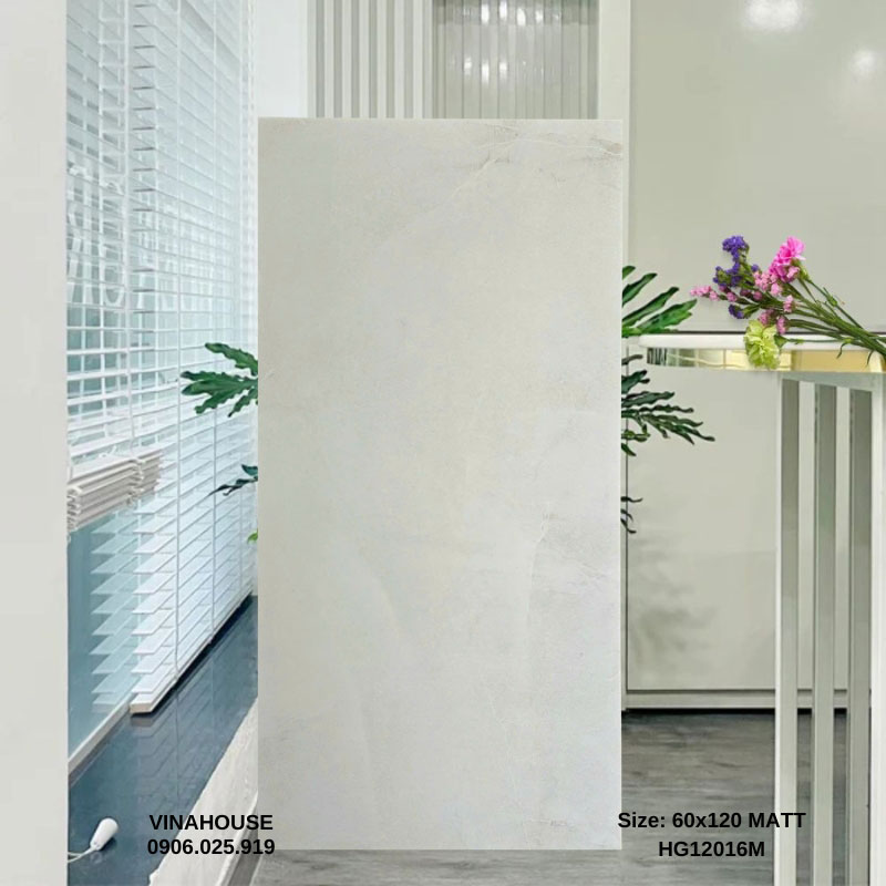Gạch lát nền 60×120 mờ 12016