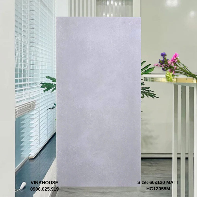 Gạch lát nền 60×120 đá mờ 12055