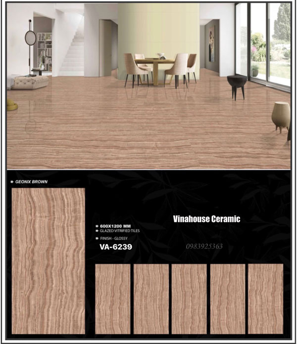 Gạch Ấn Độ 60×120 VA6239