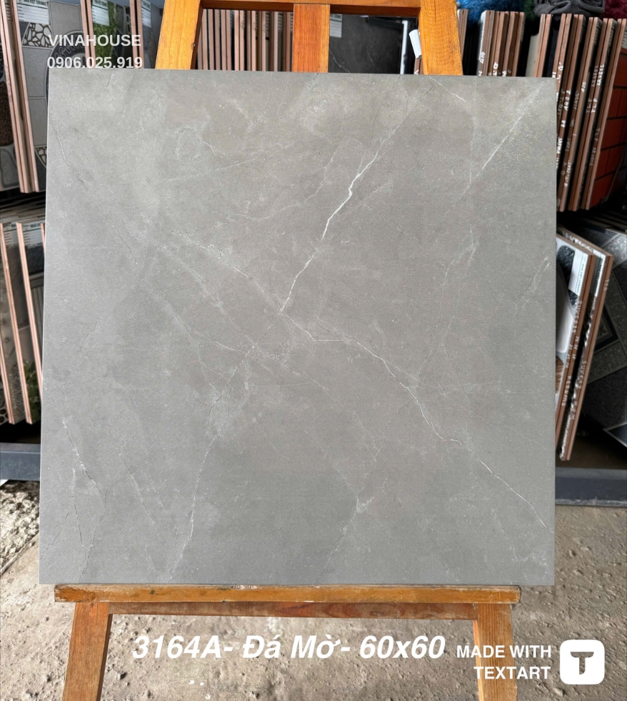 Gạch 60×60 đá mờ 3164A