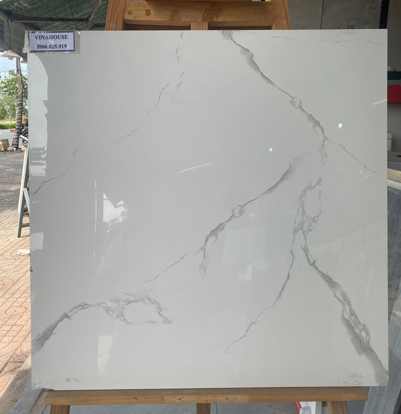 Gạch 60X60 TTC PN66039