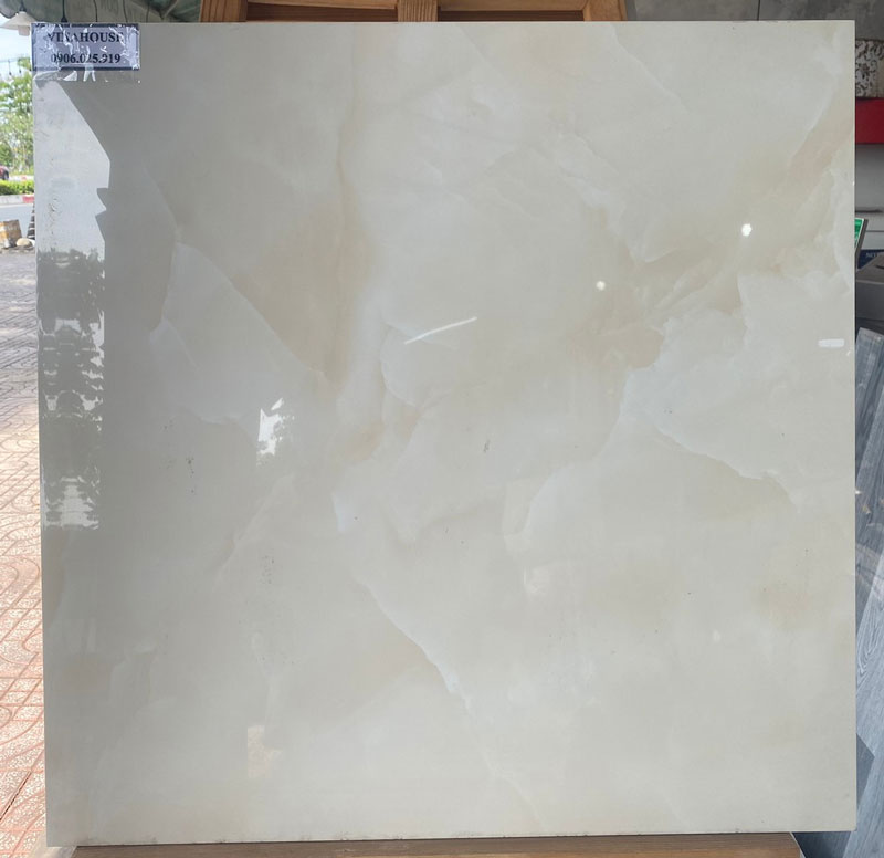 Gạch 60X60 TTC PN66040