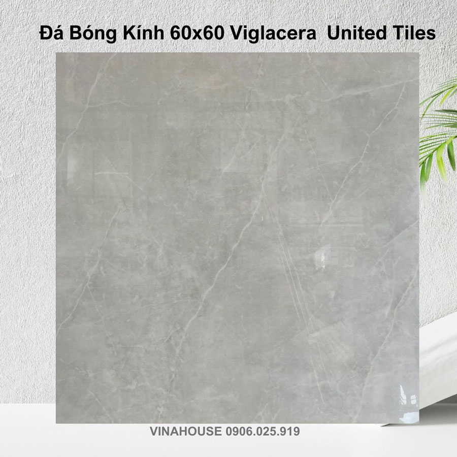 Gạch 60×60 Viglacera bóng kính GP6606