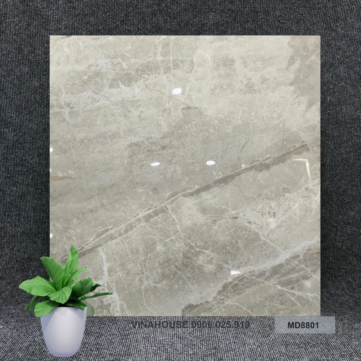 Gạch 80×80 đá bóng kính 8801