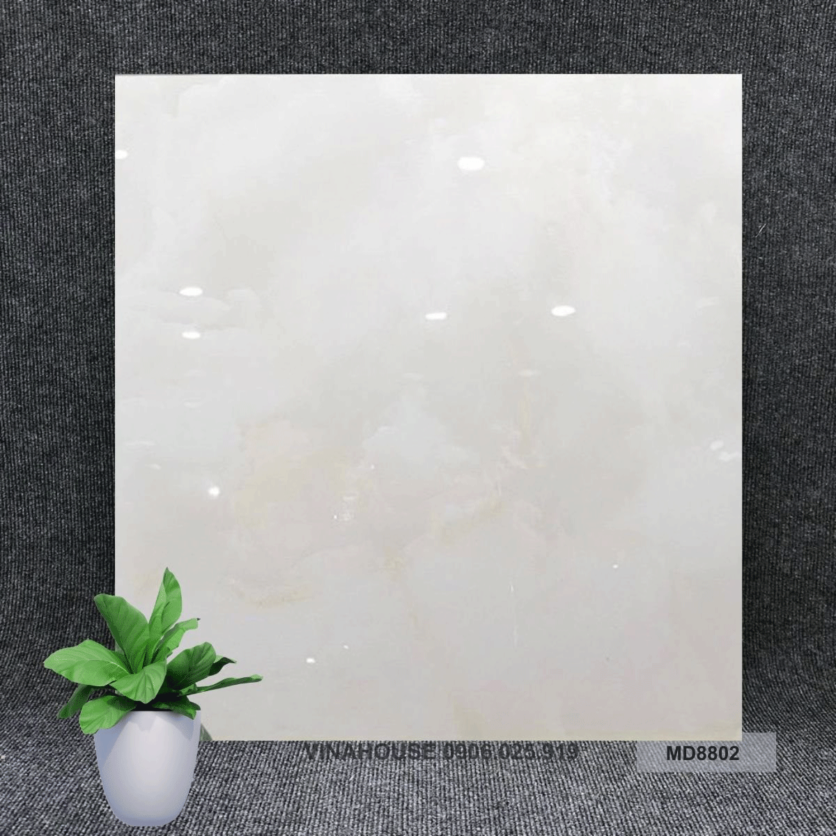 Gạch 80×80 đá bóng kính 8802