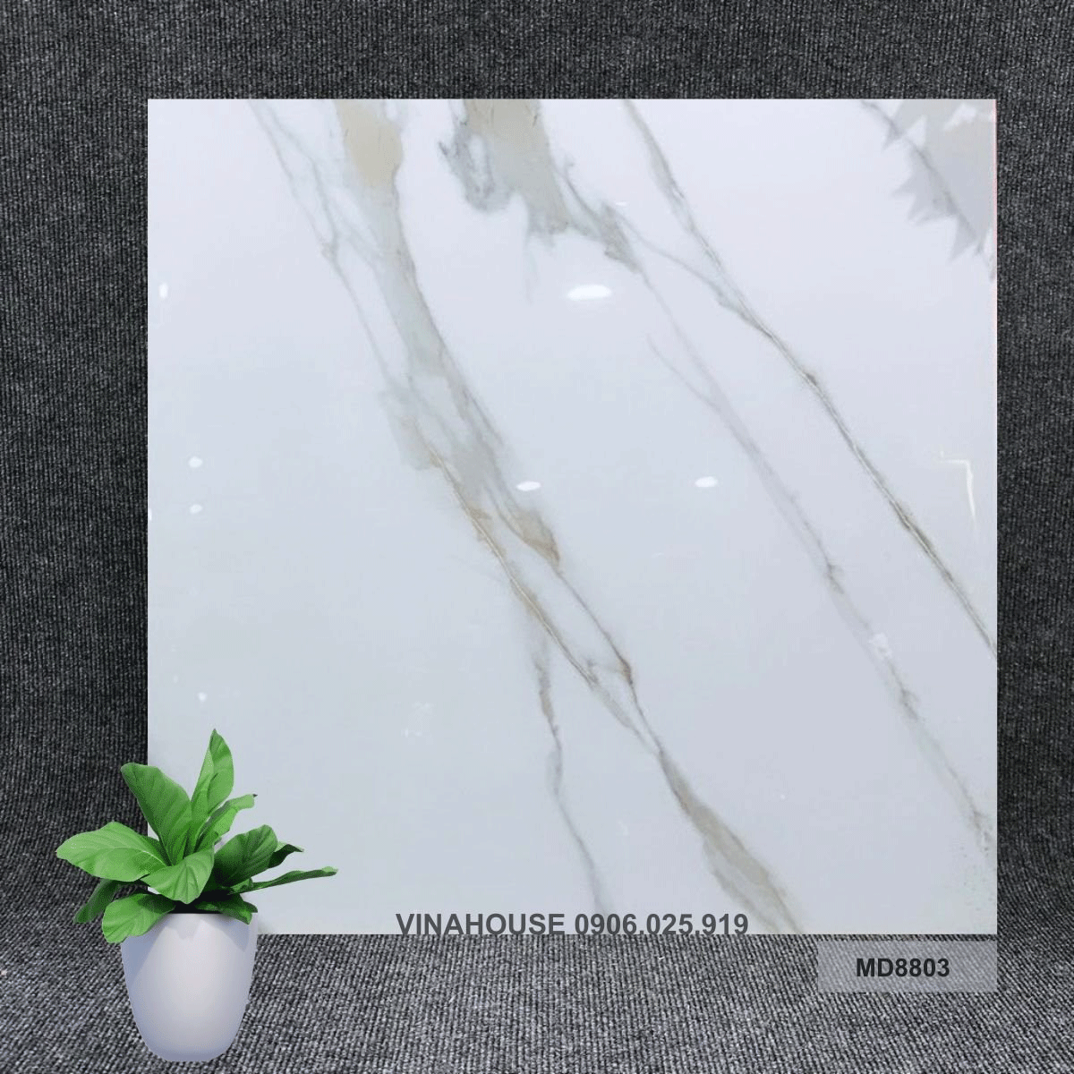 Gạch 80×80 đá bóng kính 8803