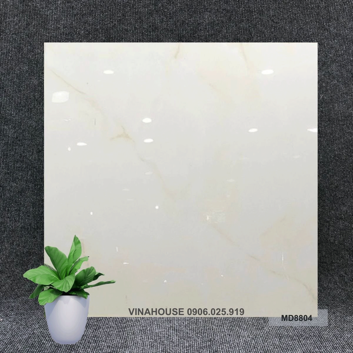 Gạch 80×80 đá bóng kính 8804