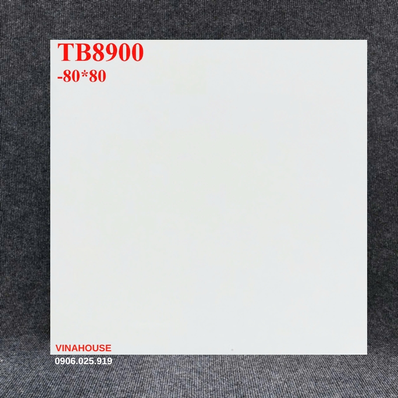 Gạch lát nền Viglacera 80×80 TB8900