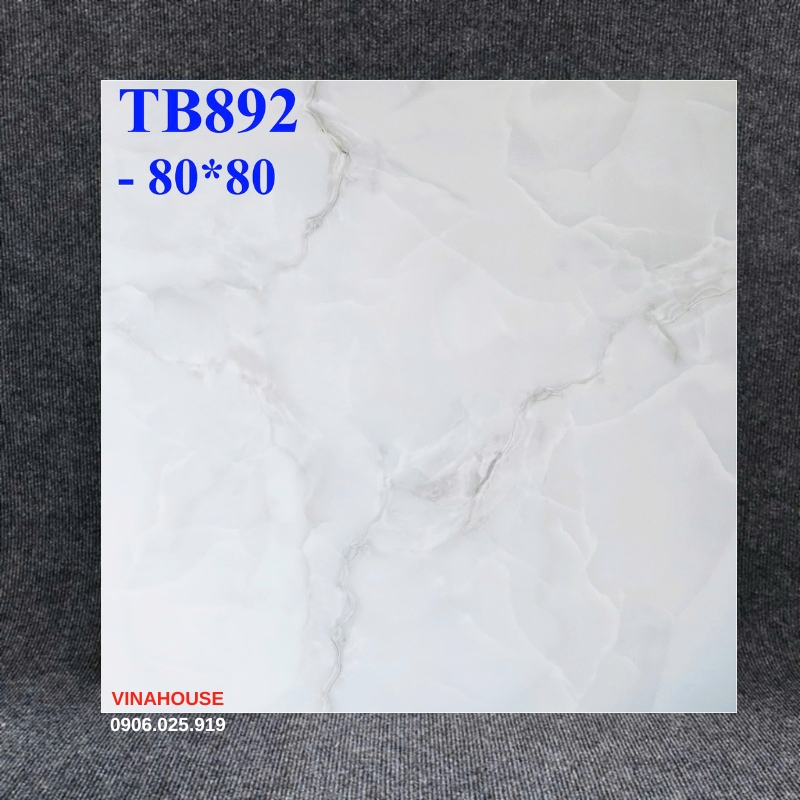 Gạch lát nền Viglacera 80×80 TB892