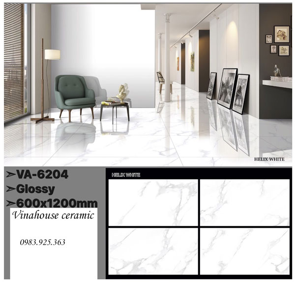Gạch Ấn Độ 60×120 VA6204