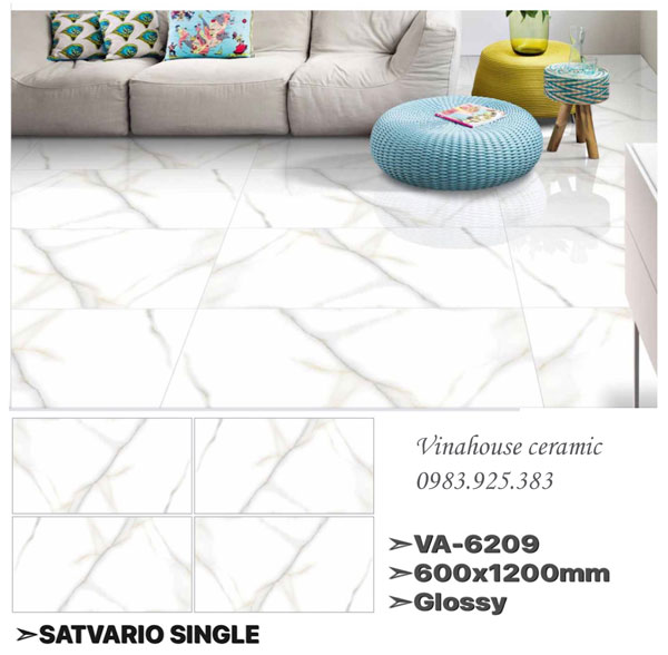 Gạch Ấn Độ 60×120 VA6209
