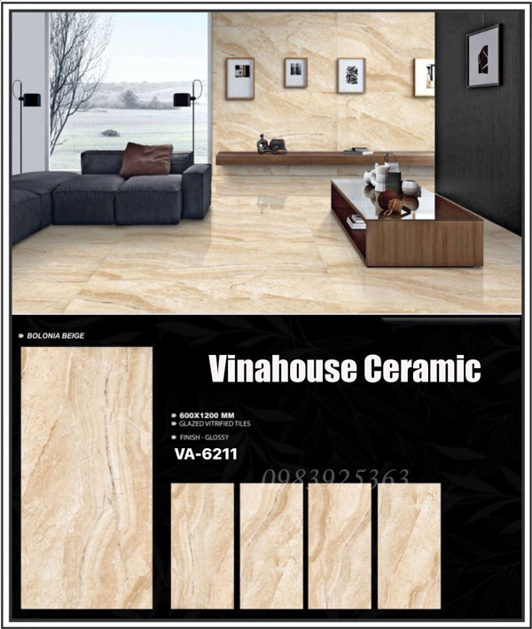 Gạch Ấn Độ 60×120 VA6211