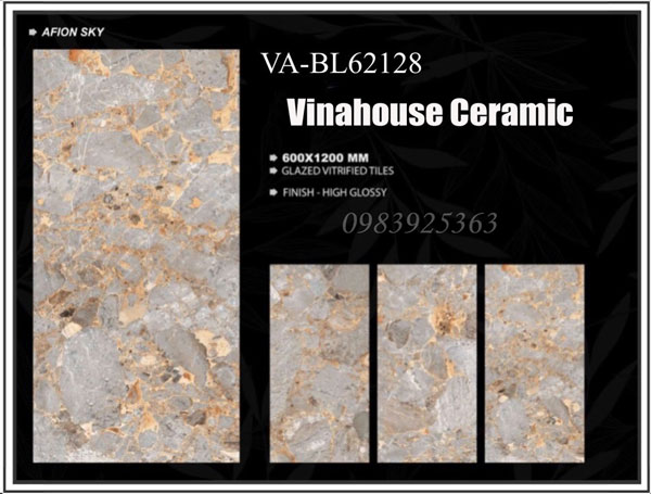 Gạch Ấn Độ 60×120 VA62128