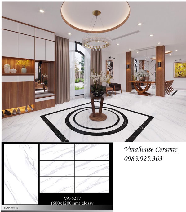 Gạch Ấn Độ 60×120 VA6217