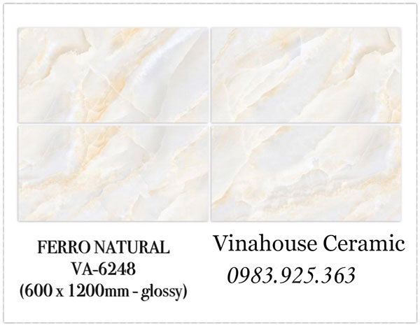 Gạch Ấn Độ 60×120 VA6248