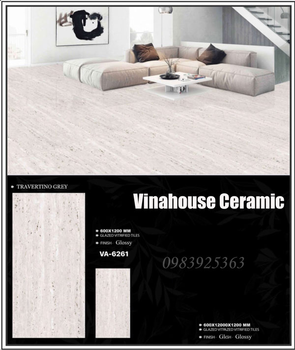 Gạch Ấn Độ 60×120 VA6261