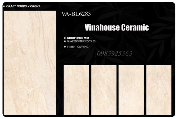 Gạch Ấn Độ 60×120 VA6283