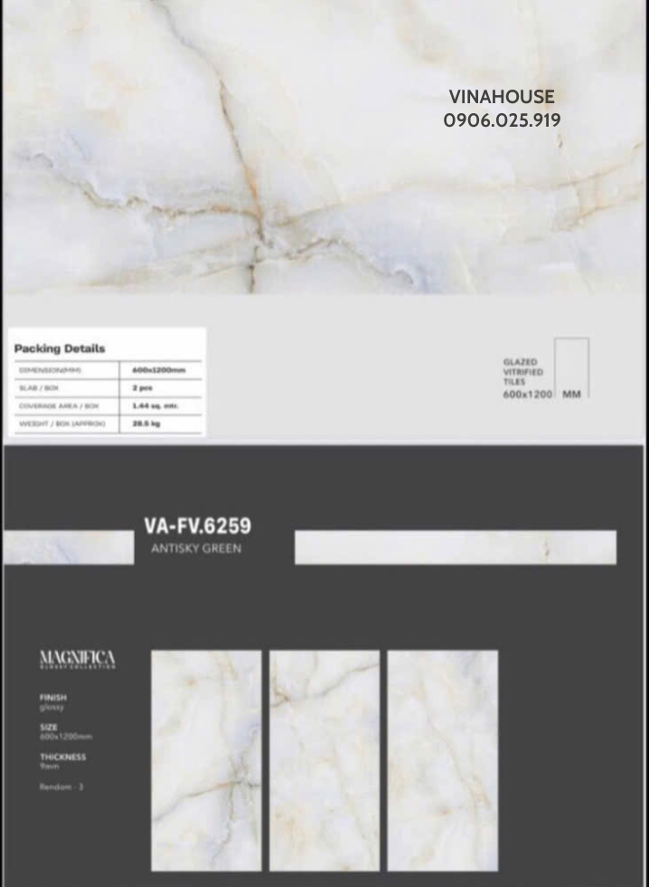 Gạch Lát Nền 60×120 VAFV6259