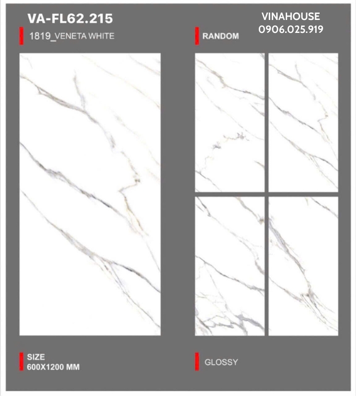 Gạch Lát Nền 60×120 VAFL62215