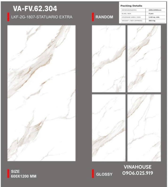 Gạch Lát Nền 60×120 VAFV62304