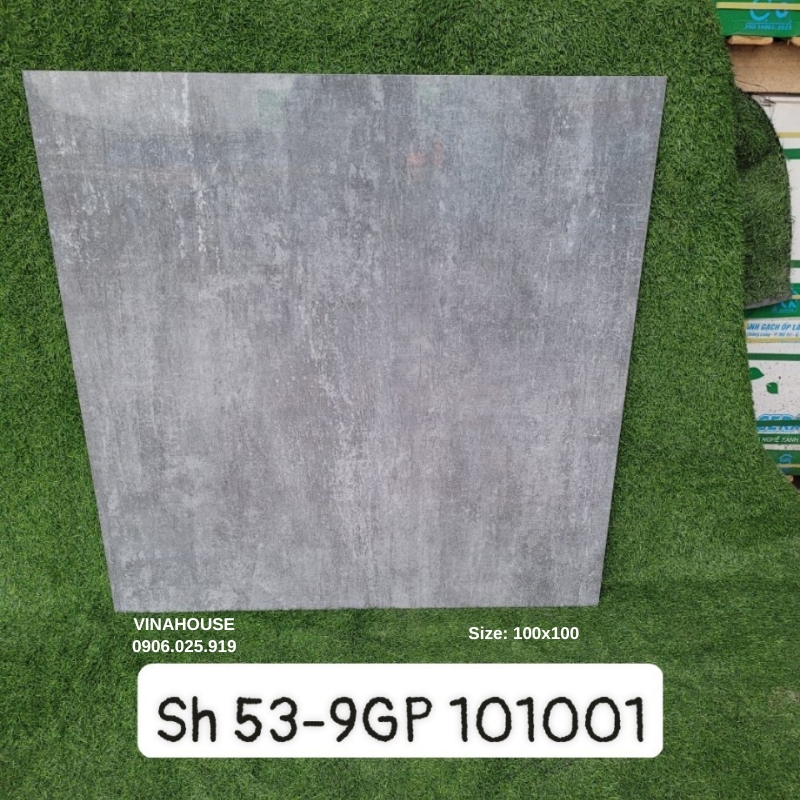 Gạch lát nền 100×100 SH53-9GP