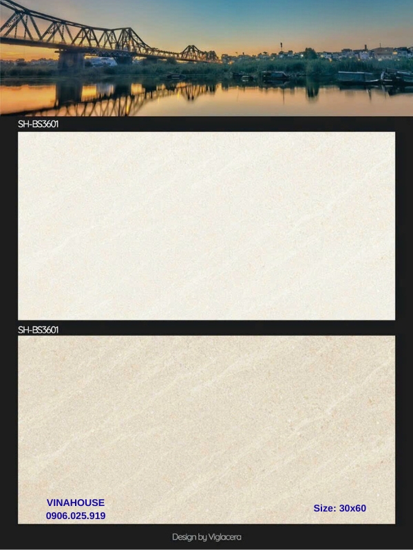 Gạch Viglacera 30×60 3601