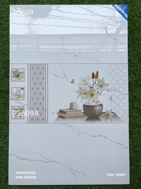 Gạch lát nền Viglacera 30×60 P3609