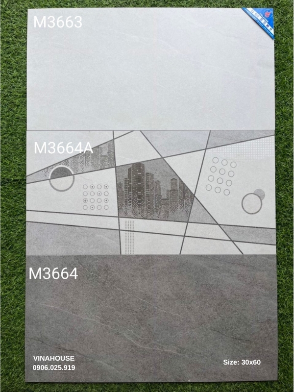 Gạch lát nền 30×60 M3663