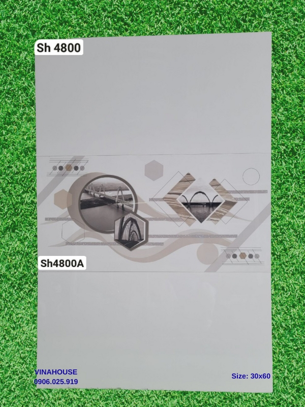 Gạch lát nền 30×60 SH4800