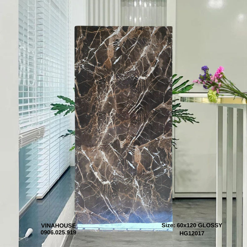 Gạch 60×120 Ốp Mặt Tiền 12017