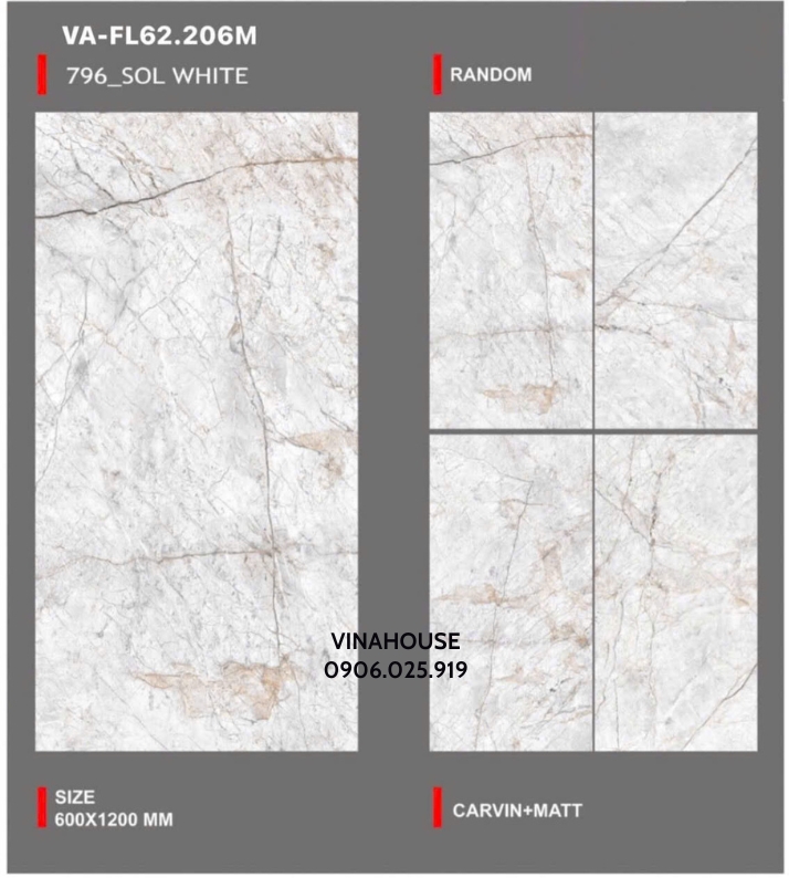 Gạch Lát Nền 60×120 Mờ VA-62206M