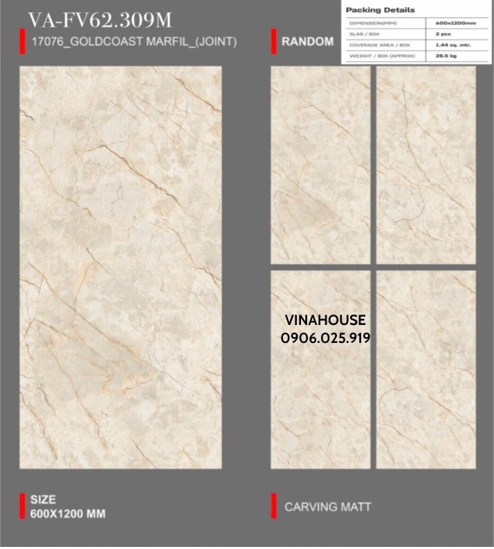 Gạch Lát Nền 60×120 Mờ VAFV62309M
