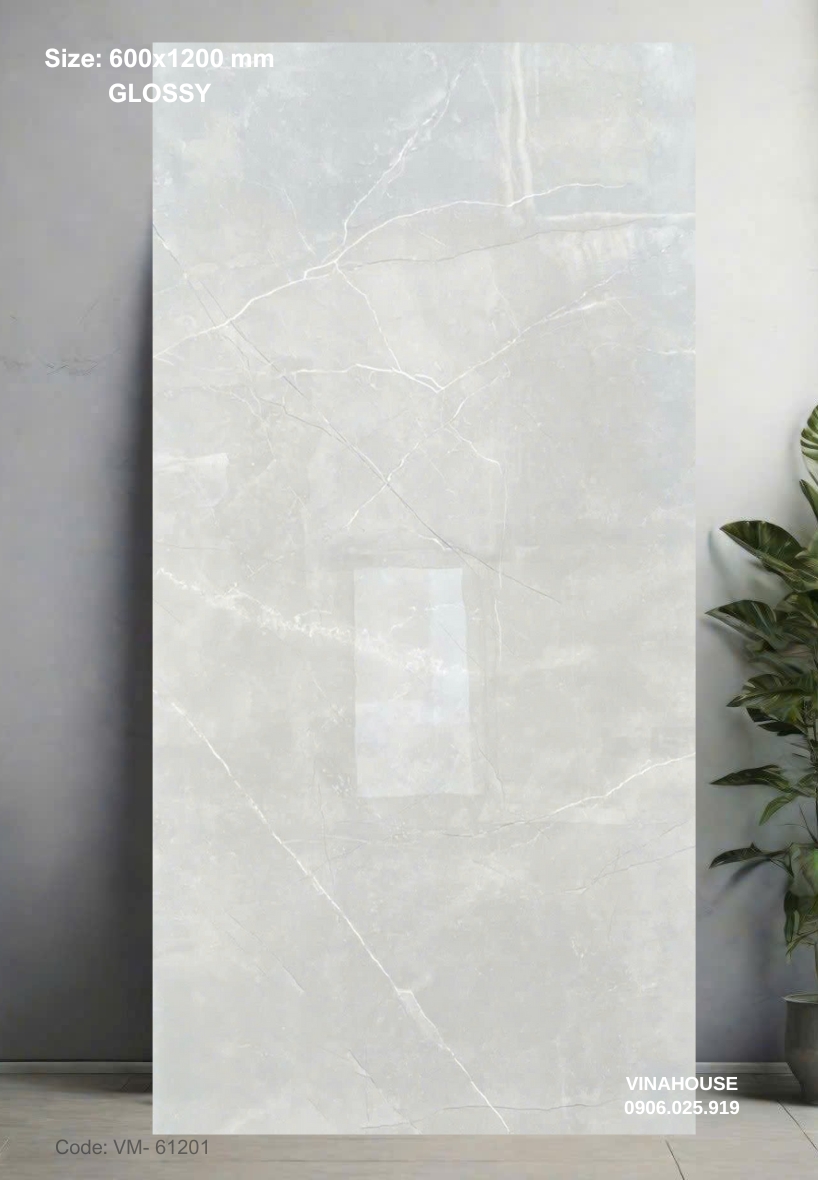 Gạch Lát Nền 60×120 Bóng Kính 61201