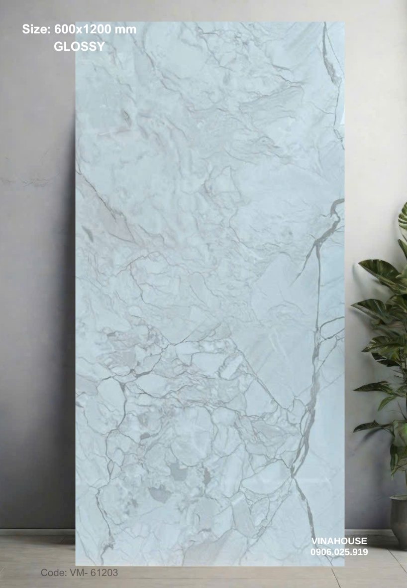 Gạch Lát Nền 60×120 Bóng Kính 61203