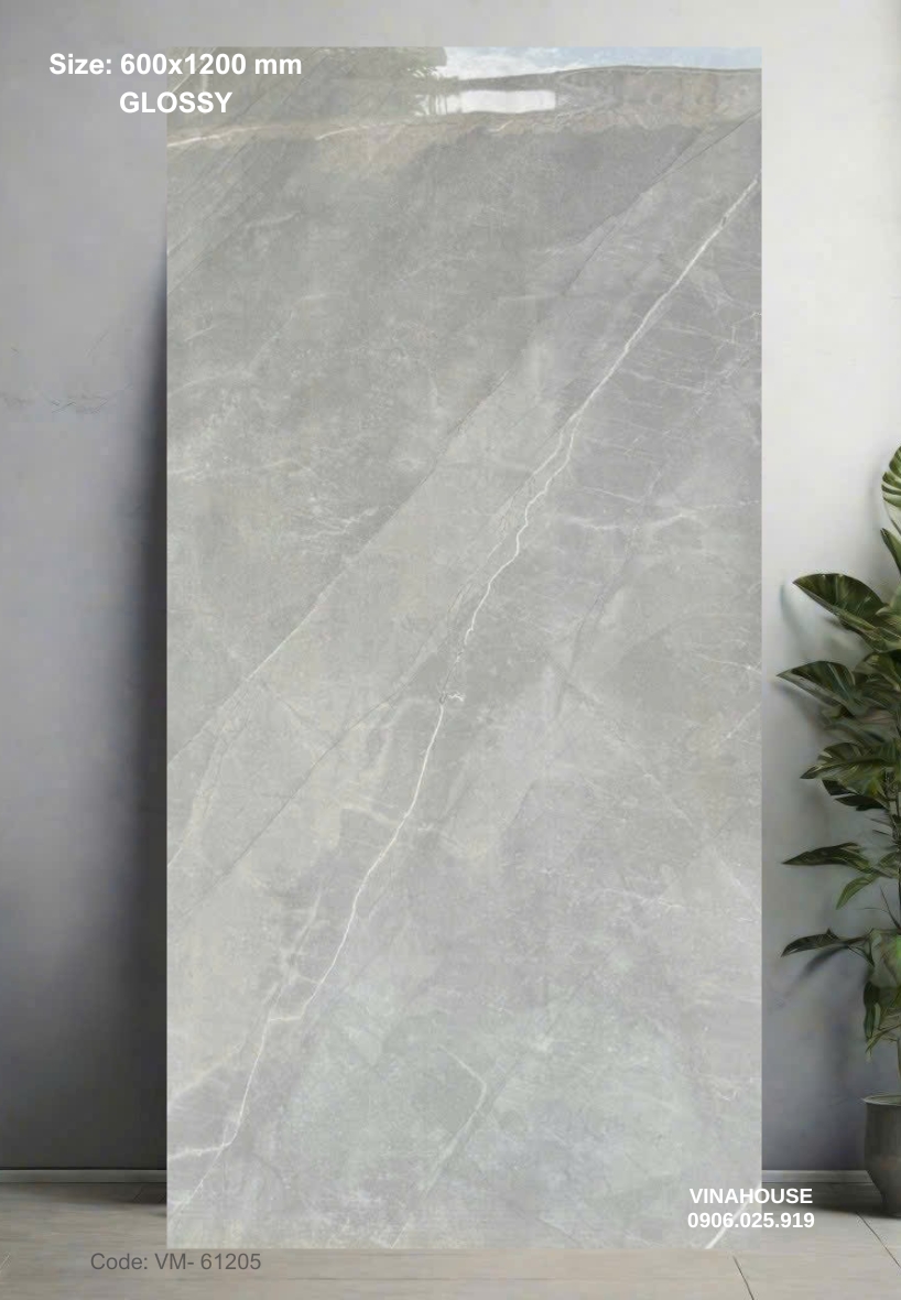 Gạch Lát Nền 60×120 Bóng Kính 61205