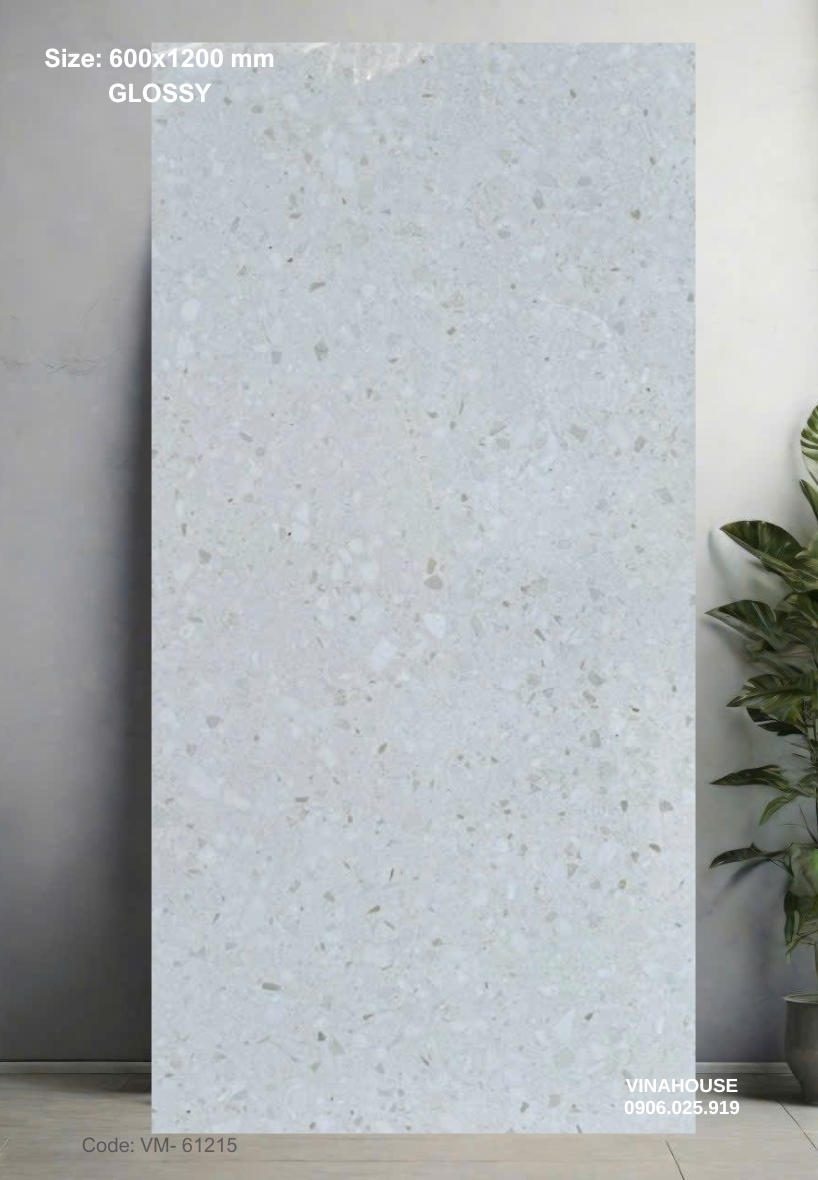 Gạch Lát Nền 60×120 Bóng Kính 61215