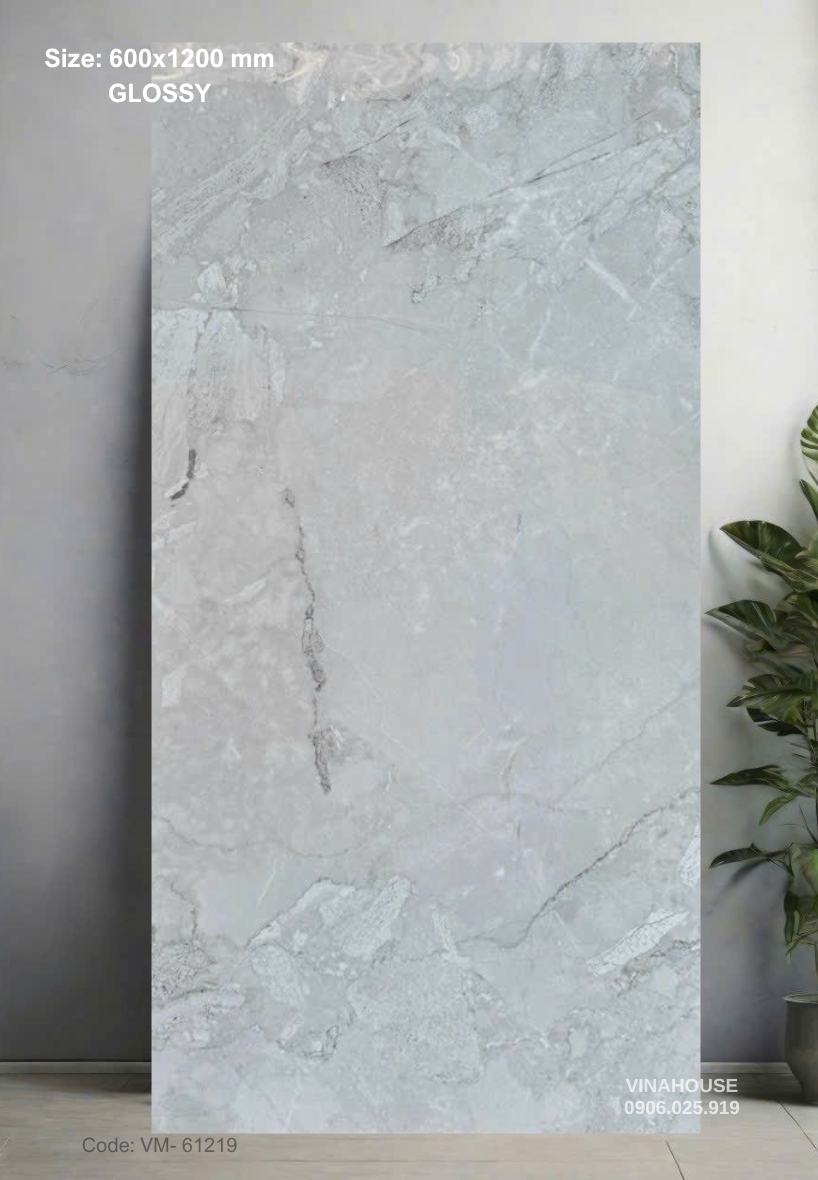 Gạch Lát Nền 60×120 Bóng Kính 61219