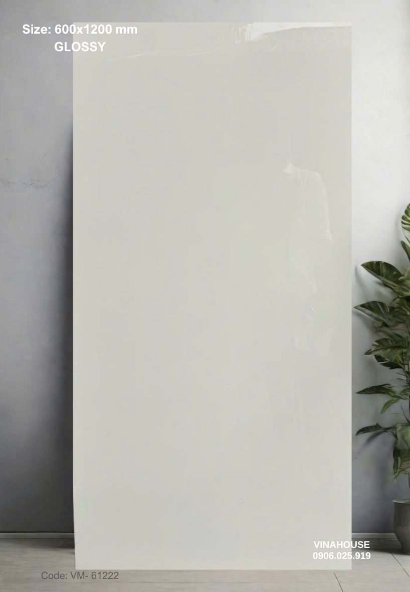 Gạch Lát Nền 60×120 Bóng Kính 61222