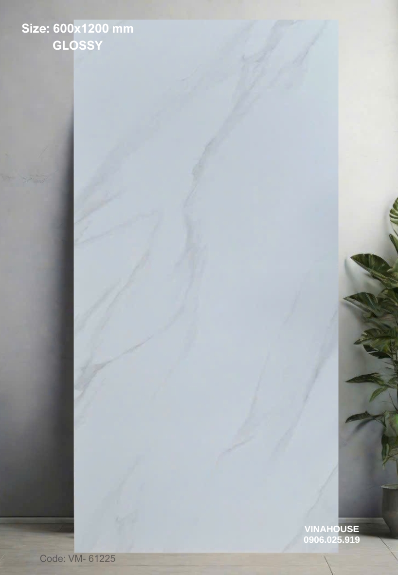 Gạch Lát Nền 60×120 Bóng Kính 61225
