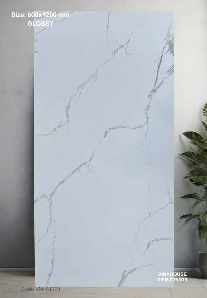 Gạch Lát Nền 60×120 Bóng Kính 61228