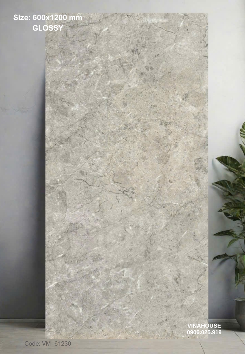 Gạch Lát Nền 60×120 Bóng Kính 61230