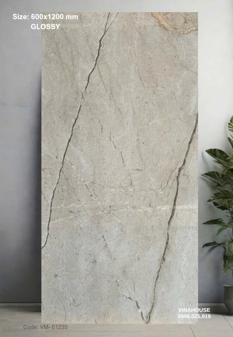 Gạch Lát Nền 60×120 Bóng Kính 61235