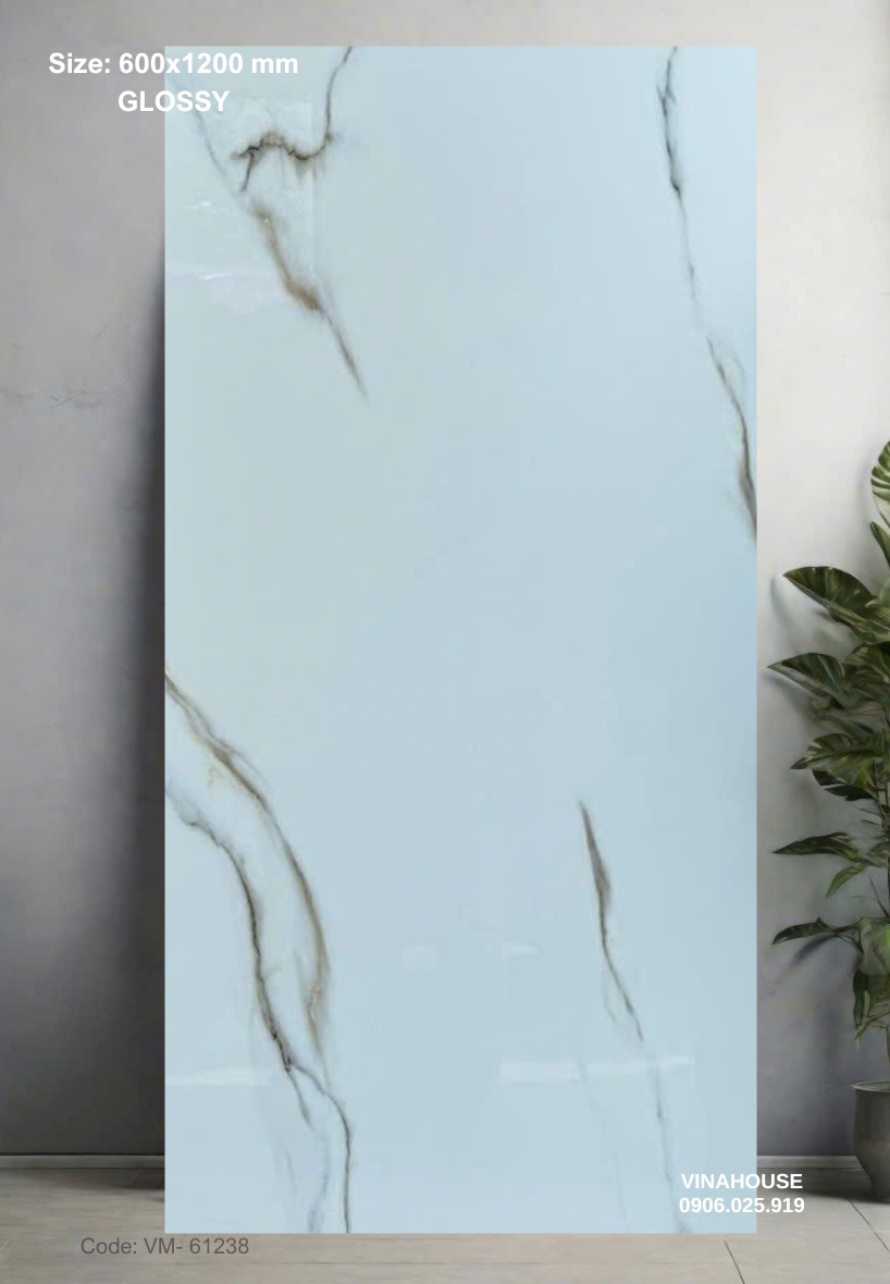 Gạch Lát Nền 60×120 Bóng Kính 61238
